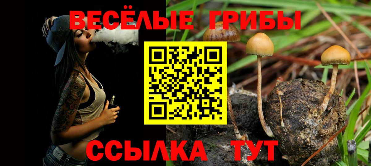 Новоалександровск  Псилоцибиновые грибы Magic Shrooms  Вход с VPN 
