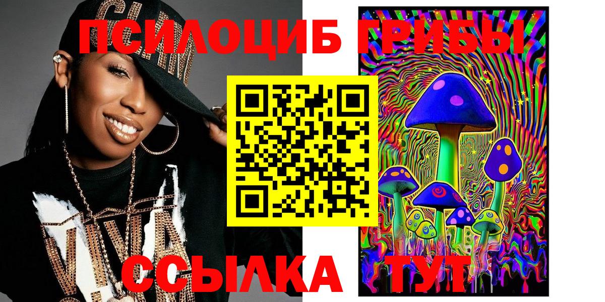 Галлюциногенные грибы Psilocybine cubensis Новоалександровск